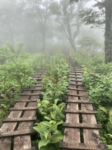 Hiking to Mt. Ohmuro